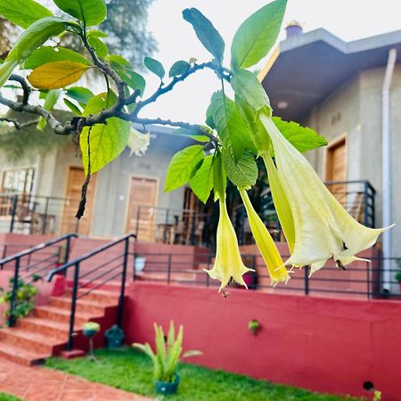 Babylon Lodge Marangu Экстерьер фото