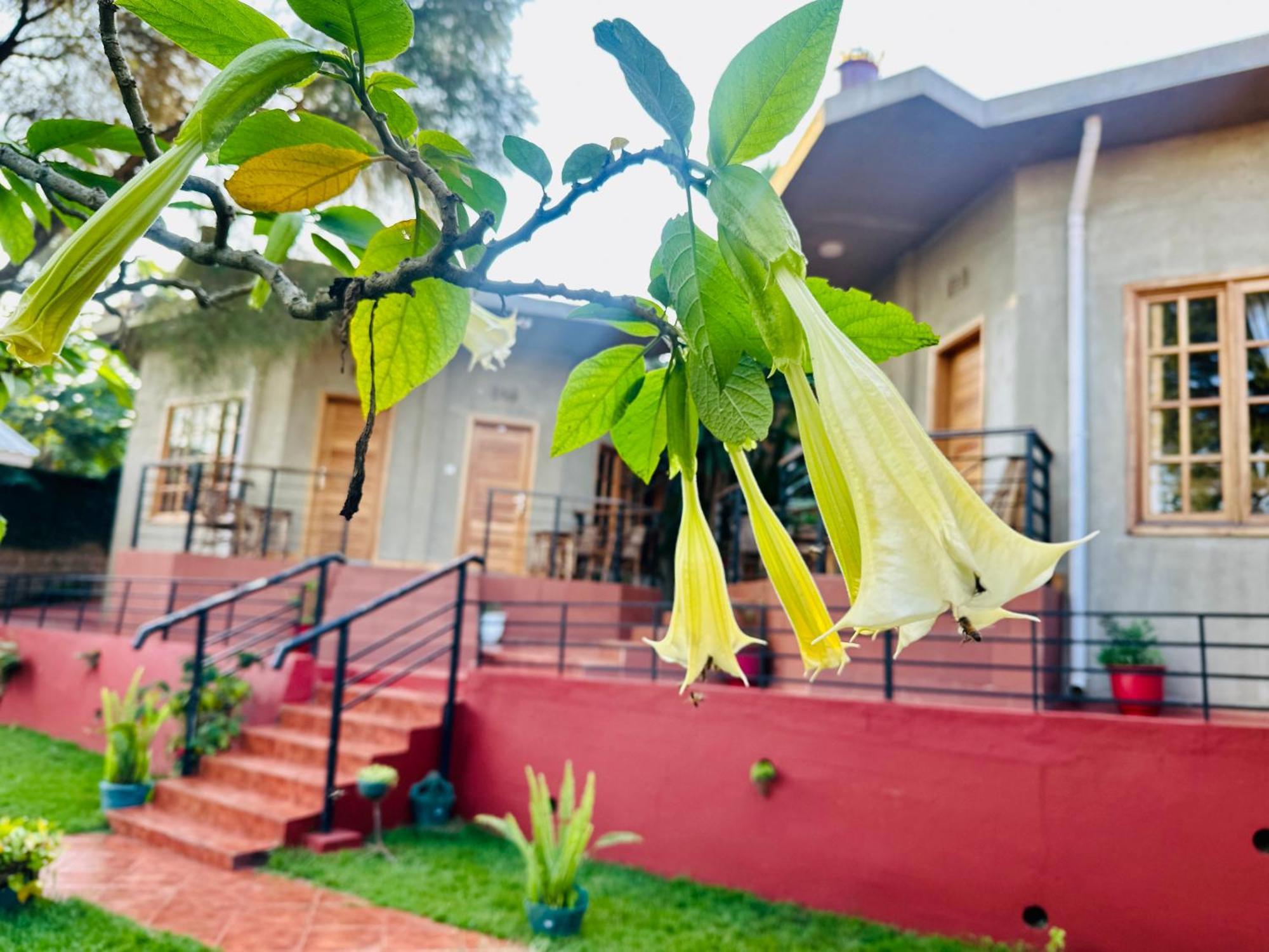 Babylon Lodge Marangu Экстерьер фото